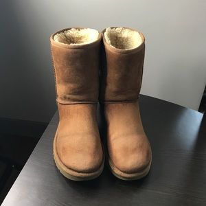 Chestnut Classic Short Uggs